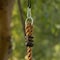 Playberg Colorful Climbing Rope with Platforms Foot Holder For Kids Indoor Outdoor Backyard QI004077.MC - alternate 4